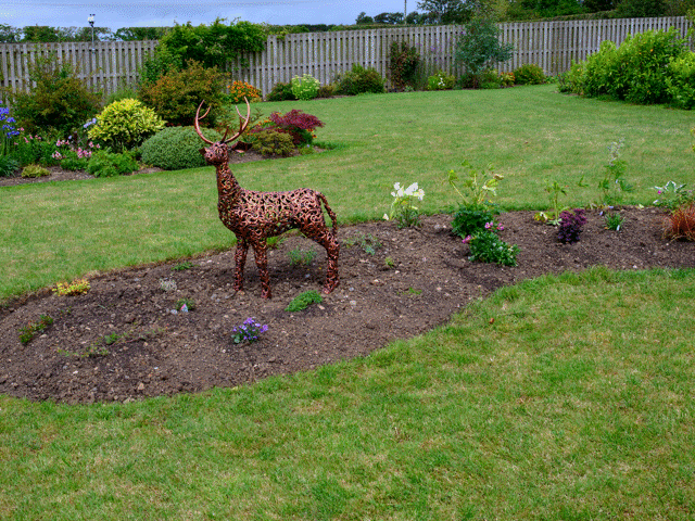 Bambi border JUly 2026