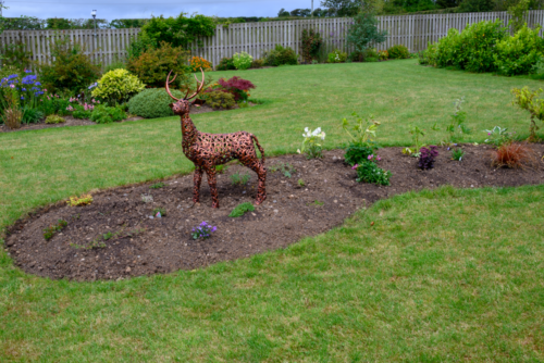 Bambi low res. (1 of 1)