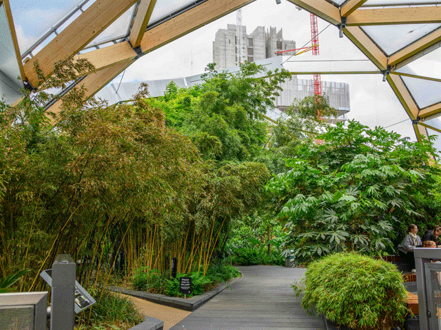 Canary Wharf Roof Garden