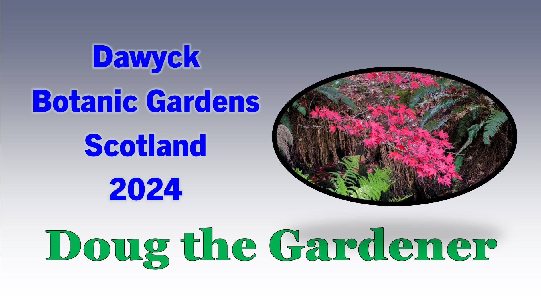 Dawyck Botanic Gardens