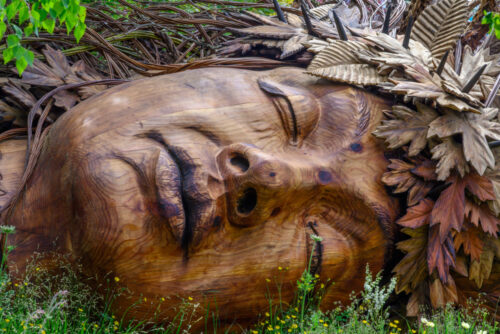 Gaia (1 of 1)
