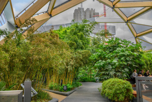 Roof garden low res (1 of 1)